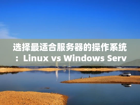 选择最适合服务器的操作系统：Linux vs Windows Server