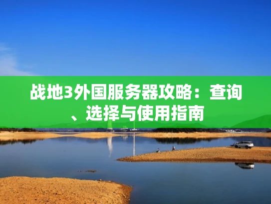 战地3外国服务器攻略：查询、选择与使用指南