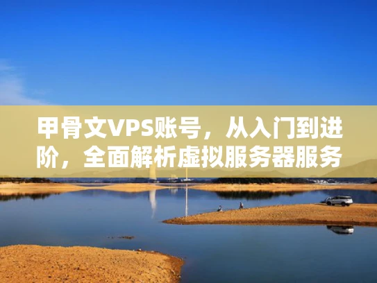 甲骨文VPS账号，从入门到进阶，全面解析虚拟服务器服务