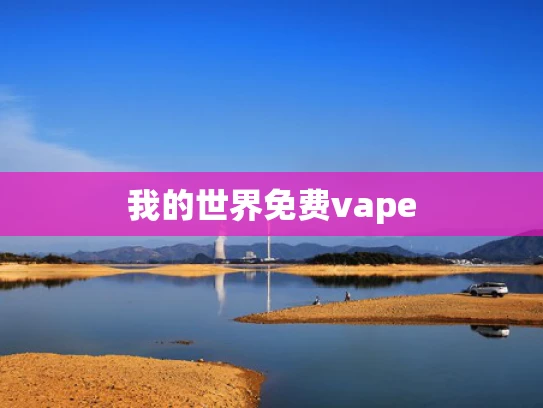 我的世界免费vape