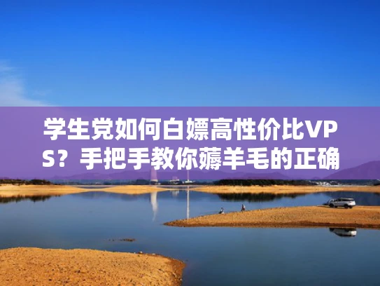 学生党如何白嫖高性价比VPS？手把手教你薅羊毛的正确姿势