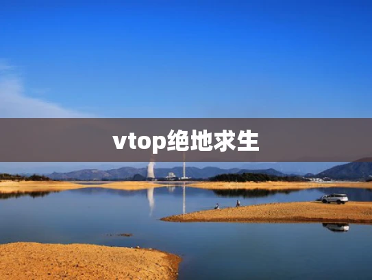 vtop绝地求生