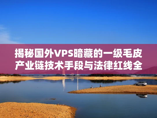 揭秘国外VPS暗藏的一级毛皮产业链技术手段与法律红线全解析
