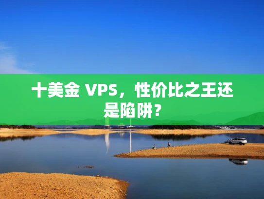 十美金 VPS，性价比之王还是陷阱？