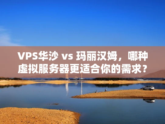 VPS华沙 vs 玛丽汉姆，哪种虚拟服务器更适合你的需求？