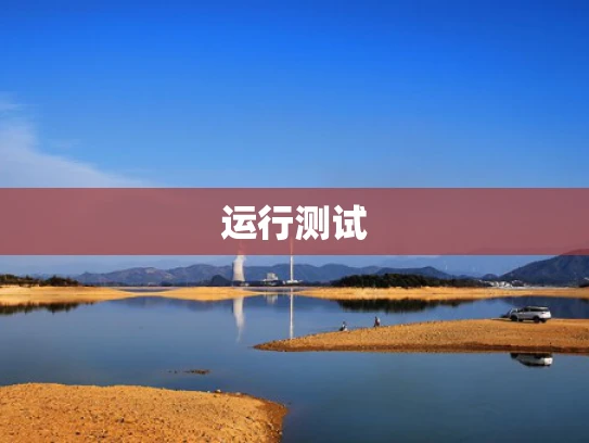 运行测试