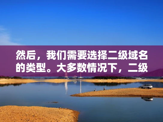 然后，我们需要选择二级域名的类型。大多数情况下，二级域名的类型是标准域名，也就是不带子域名的域名。不过，如果我们要绑定三级或四级域名，可能需要选择子域名类型。不过，通常情况下，二级域名是不带子域名的