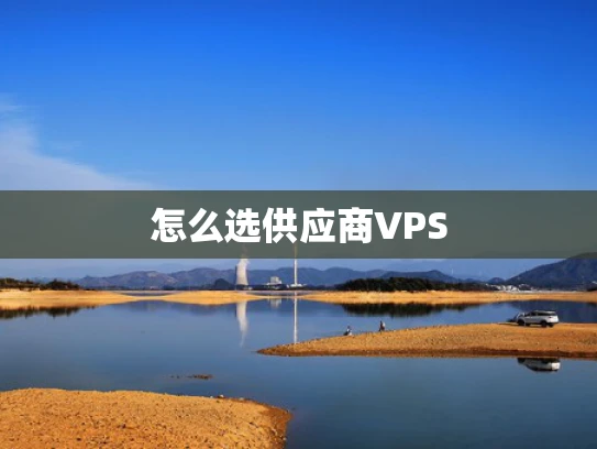 怎么选供应商VPS