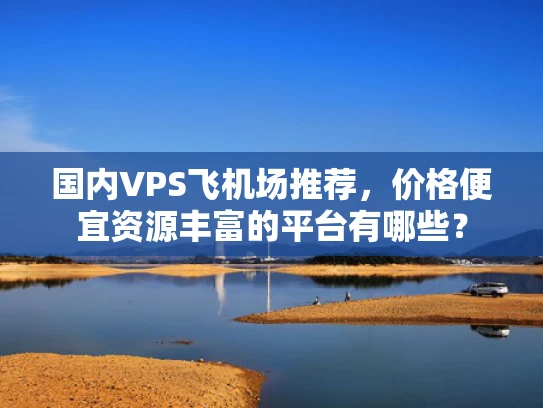 国内VPS飞机场推荐，价格便宜资源丰富的平台有哪些？