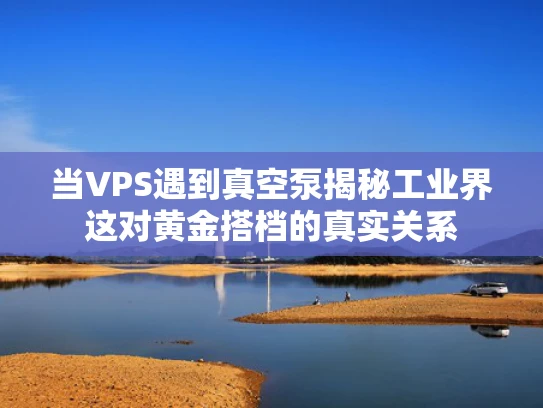 当VPS遇到真空泵揭秘工业界这对黄金搭档的真实关系