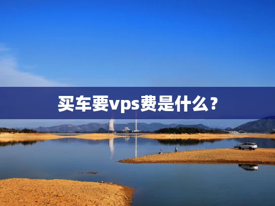 买车要vps费是什么？