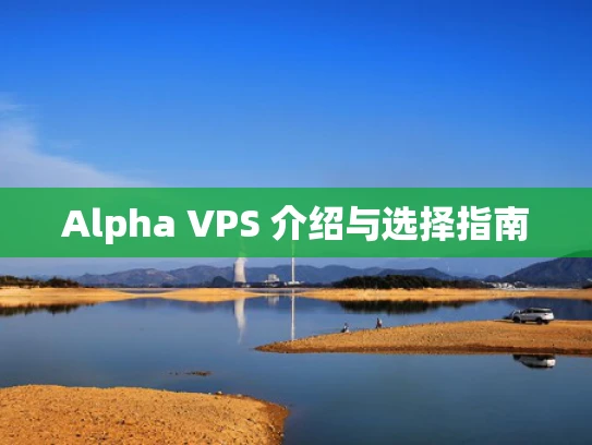 Alpha VPS 介绍与选择指南