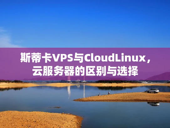 斯蒂卡VPS与CloudLinux，云服务器的区别与选择