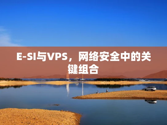 E-SI与VPS，网络安全中的关键组合