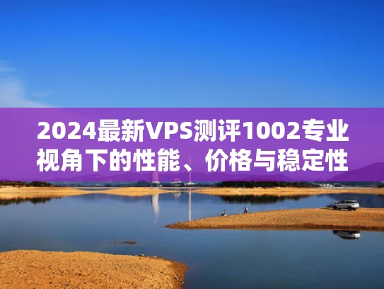 2024最新VPS测评1002专业视角下的性能、价格与稳定性全面解析