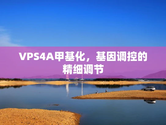 VPS4A甲基化，基因调控的精细调节