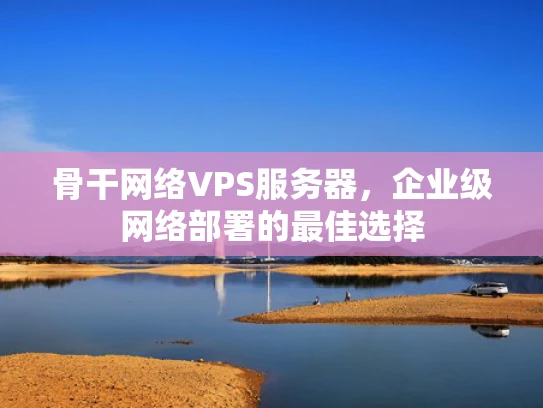 骨干网络VPS服务器，企业级网络部署的最佳选择