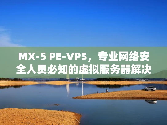 MX-5 PE-VPS，专业网络安全人员必知的虚拟服务器解决方案