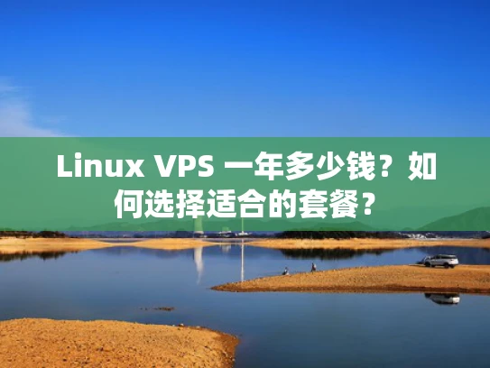 Linux VPS 一年多少钱？如何选择适合的套餐？