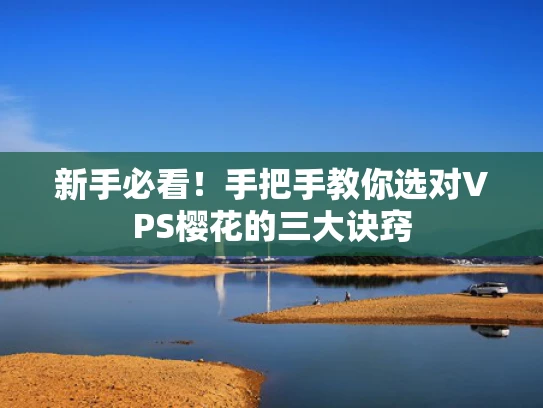 新手必看！手把手教你选对VPS樱花的三大诀窍