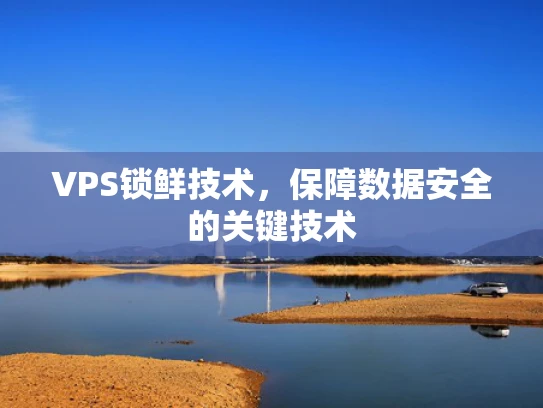 VPS锁鲜技术，保障数据安全的关键技术