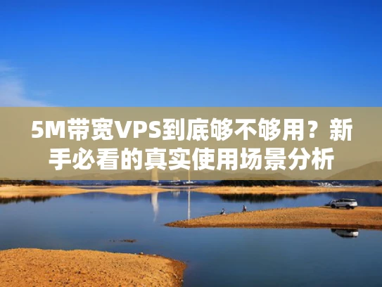 5M带宽VPS到底够不够用？新手必看的真实使用场景分析