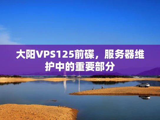 大阳VPS125前碟，服务器维护中的重要部分