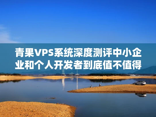 青果VPS系统深度测评中小企业和个人开发者到底值不值得买？