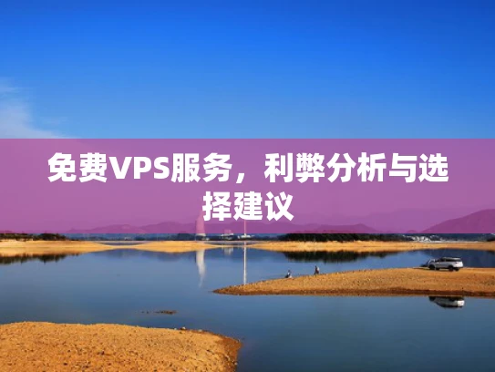 免费VPS服务，利弊分析与选择建议