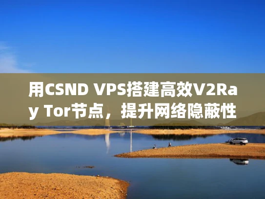 用CSND VPS搭建高效V2Ray Tor节点，提升网络隐蔽性
