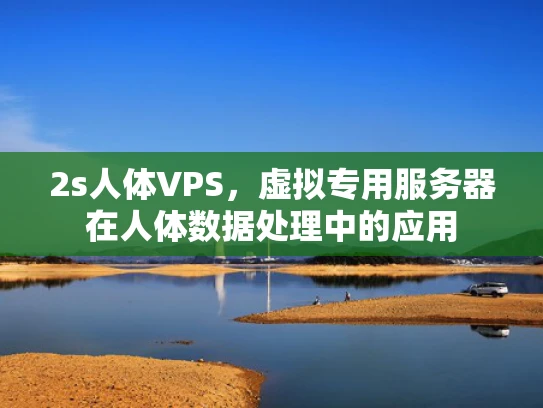 2s人体VPS，虚拟专用服务器在人体数据处理中的应用