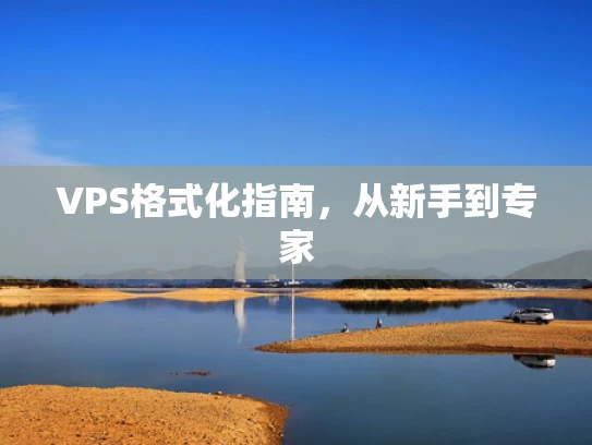VPS格式化指南，从新手到专家