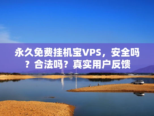 永久免费挂机宝VPS，安全吗？合法吗？真实用户反馈