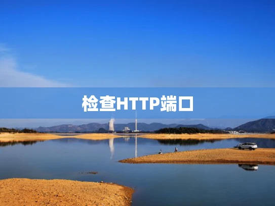 检查HTTP端口