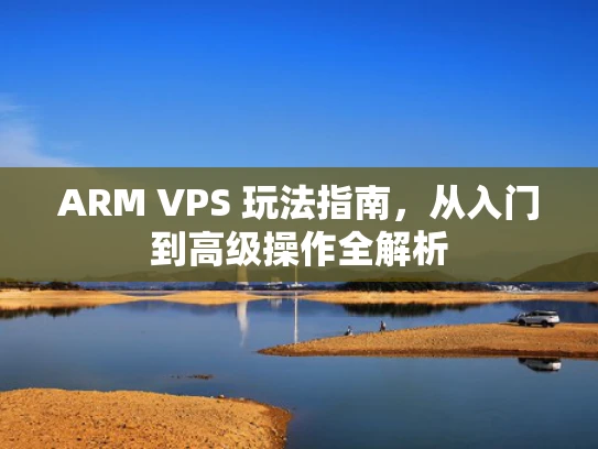 ARM VPS 玩法指南，从入门到高级操作全解析