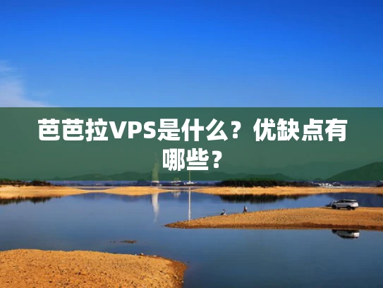 芭芭拉VPS是什么？优缺点有哪些？