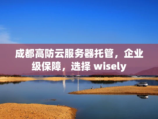 成都高防云服务器托管，企业级保障，选择 wisely