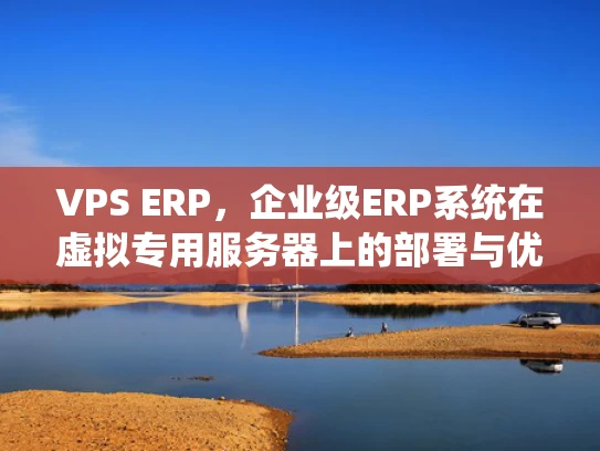 VPS ERP，企业级ERP系统在虚拟专用服务器上的部署与优化