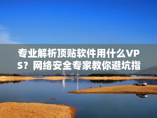 专业解析顶贴软件用什么VPS？网络安全专家教你避坑指南