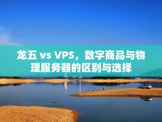 龙五 vs VPS，数字商品与物理服务器的区别与选择
