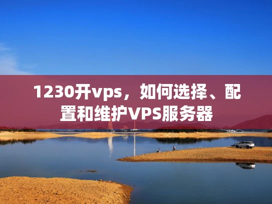 1230开vps，如何选择、配置和维护VPS服务器
