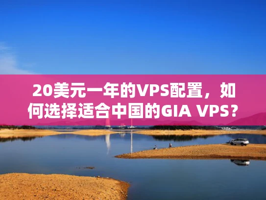 20美元一年的VPS配置，如何选择适合中国的GIA VPS？