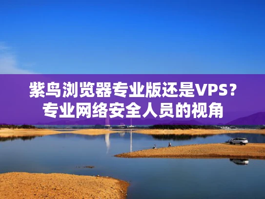 紫鸟浏览器专业版还是VPS？专业网络安全人员的视角