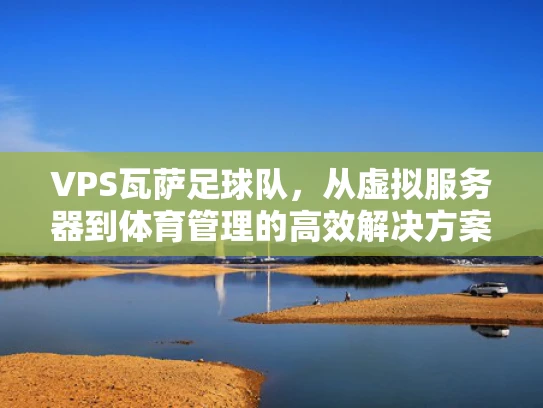 VPS瓦萨足球队，从虚拟服务器到体育管理的高效解决方案