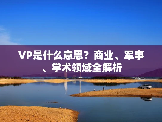 VP是什么意思？商业、军事、学术领域全解析