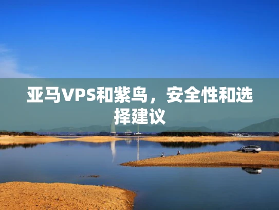 亚马VPS和紫鸟，安全性和选择建议