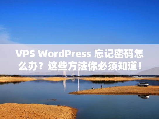 VPS WordPress 忘记密码怎么办？这些方法你必须知道！