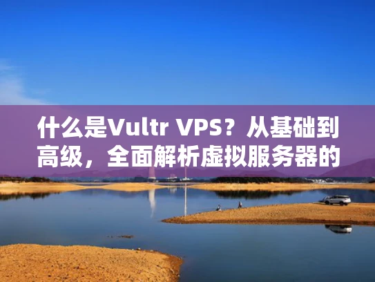 什么是Vultr VPS？从基础到高级，全面解析虚拟服务器的类型与选择