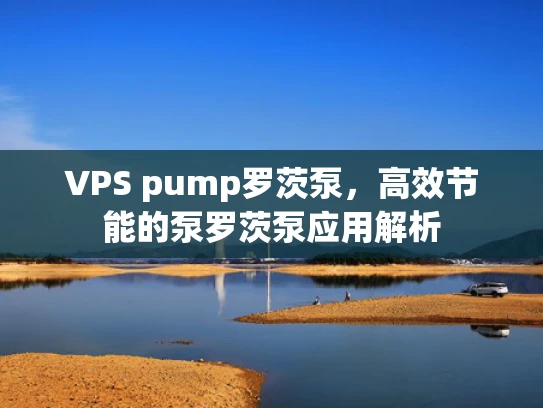 VPS pump罗茨泵，高效节能的泵罗茨泵应用解析