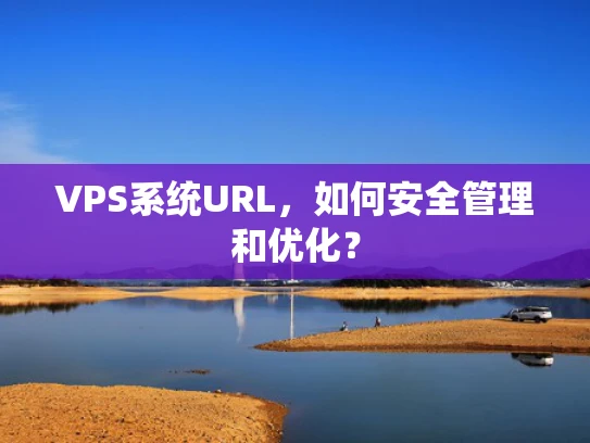 VPS系统URL，如何安全管理和优化？